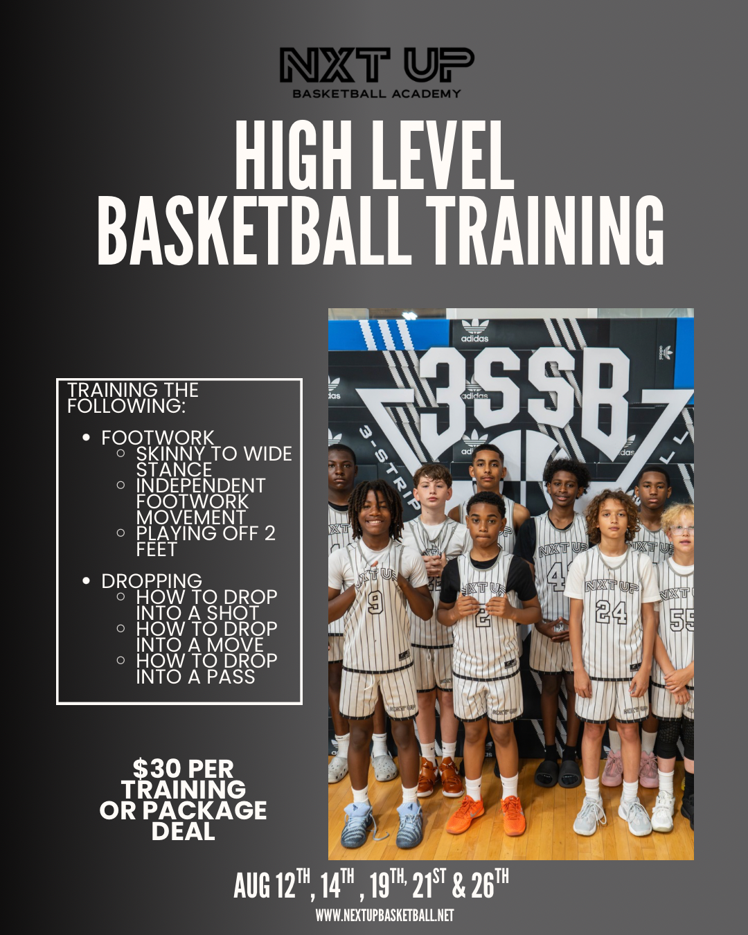 High Level Basketball - Group Training